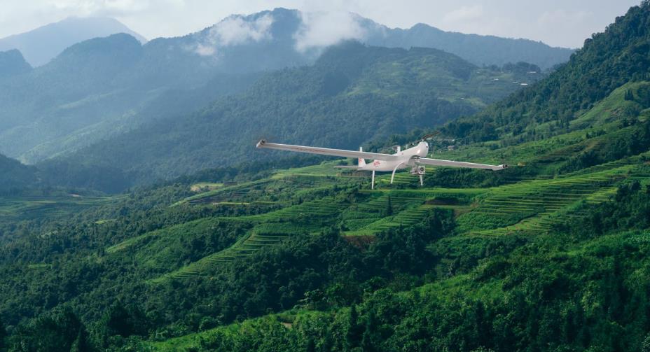 Drone Forest Patrol