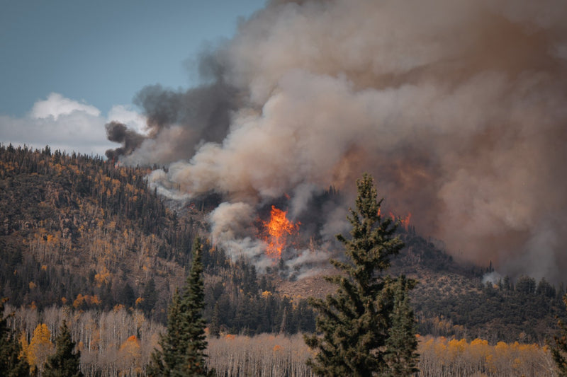 Firefighting Drones for Mountain Fire Rescue