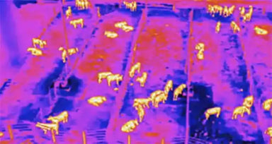 Surveillance, security and drone monitoring with Autel thermal imaging drones