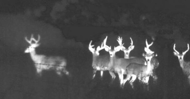 Wildlife Scouting Camera Drone | EVO II Dual 640t with Thermal Camera
