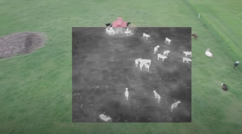 The Best Thermal Drone for Hunting 2026