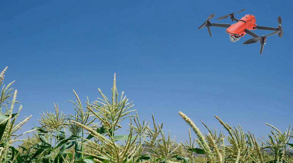 Agricultural Drones Mapping