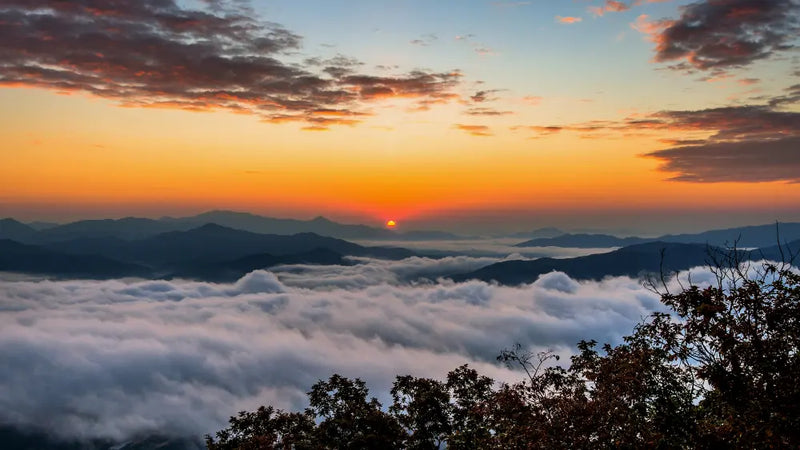 Can Drones Fly Through Clouds?