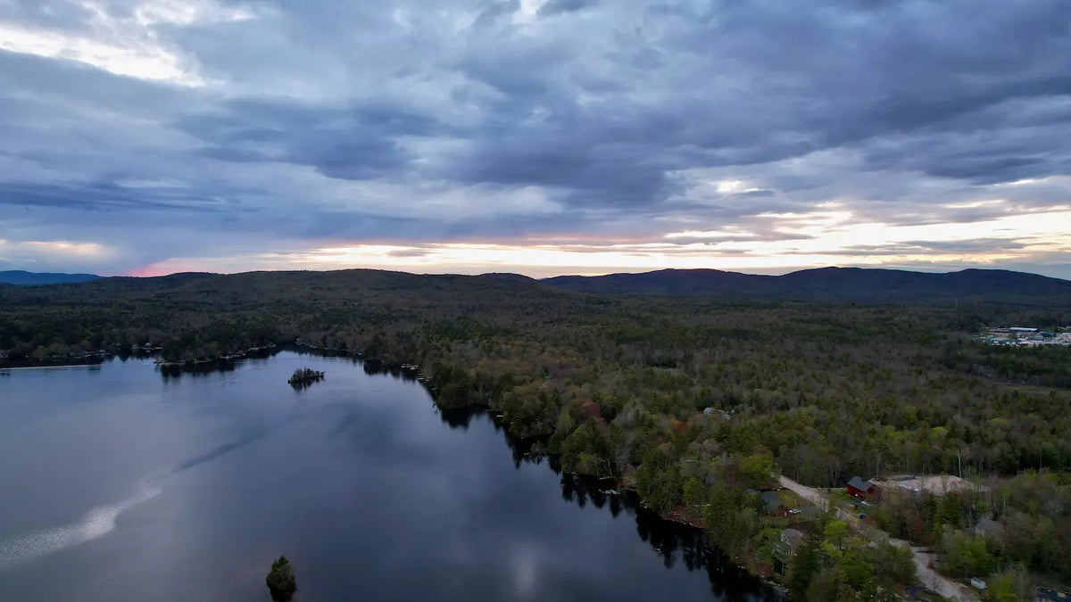 Drone Flight