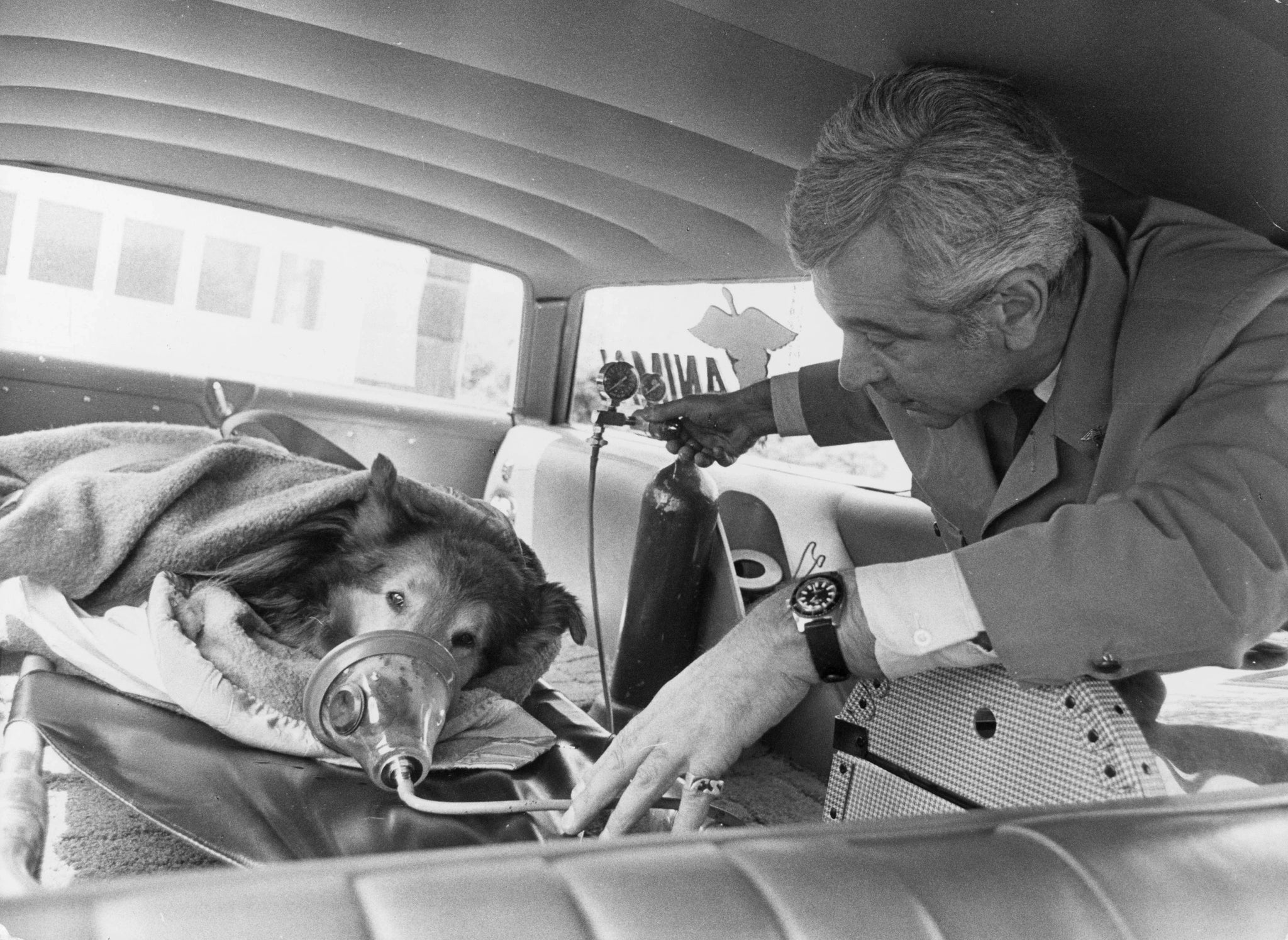 Whats Best Drones with Vision and Loudspeaker for Pet Rescue