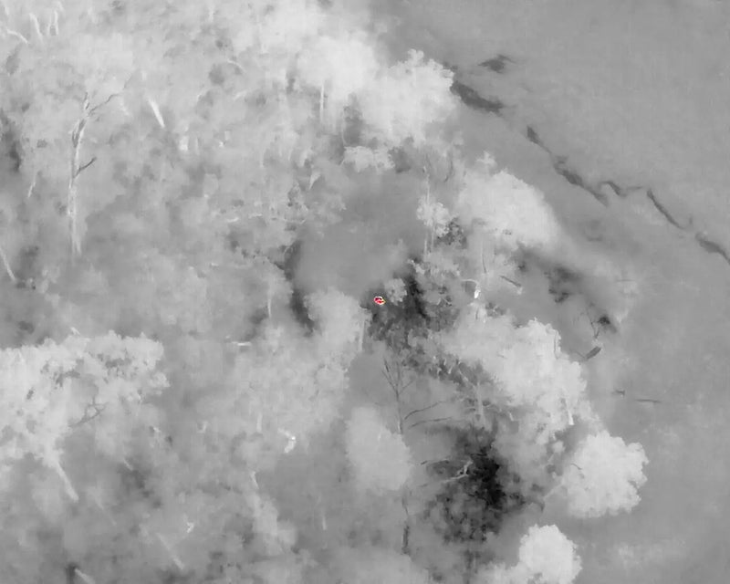 Drone Pet Recovery: Thermal Imaging Technology for Location and Rescue