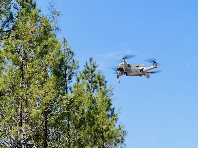 How Drones Are Being Used In Forestry?