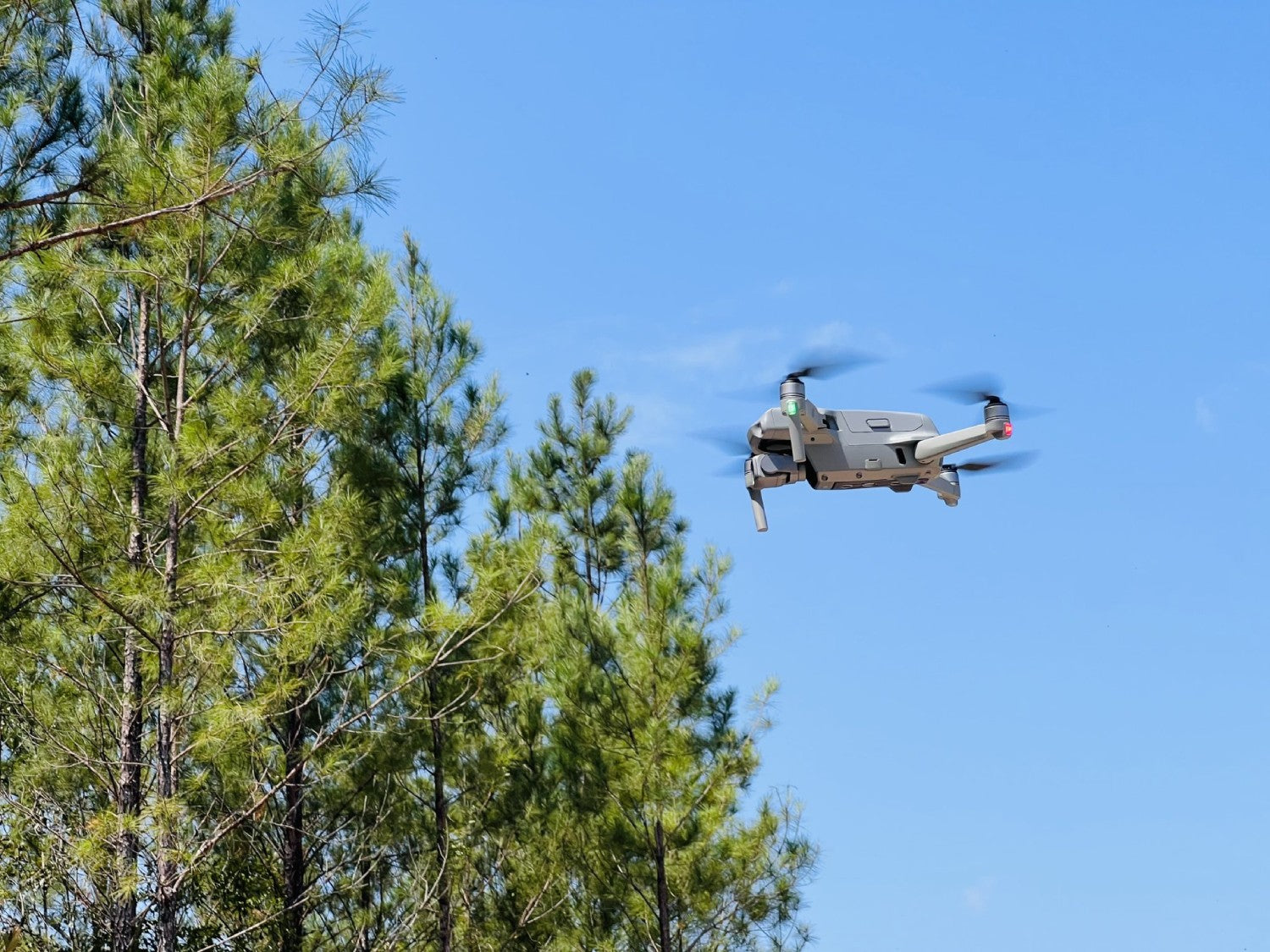 drones in forestry