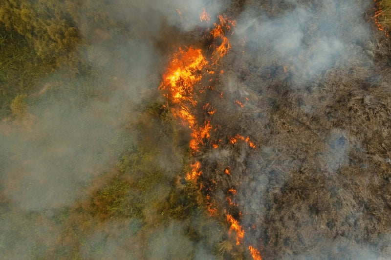 How Do Fire Departments Use Drones?