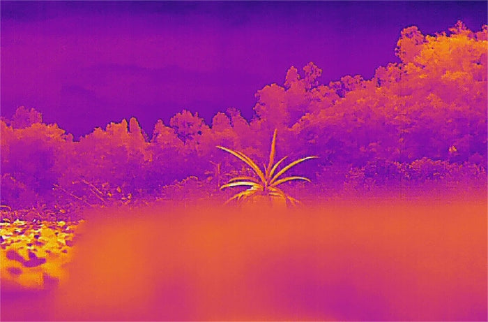 Autel IR Tool Software