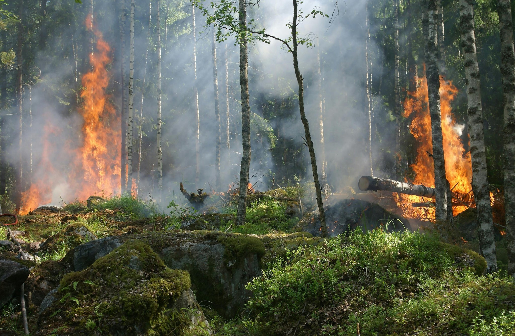 What Is the Range of Drones in Monitoring Wildfire Spread