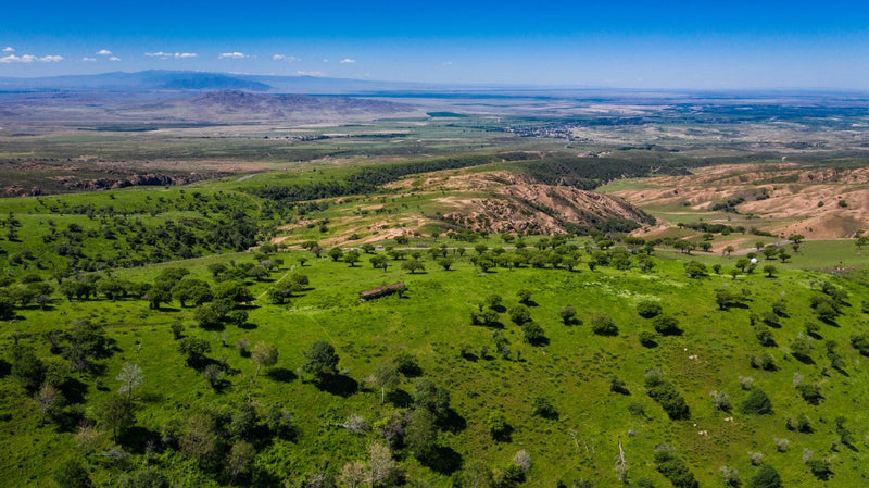 Best Affordable Drones with Camera for Spring Aerial Photography