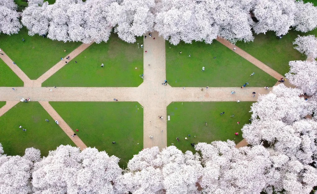 Camera Drones for Spring Photography