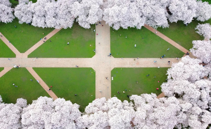 Camera Drones for Spring Photography