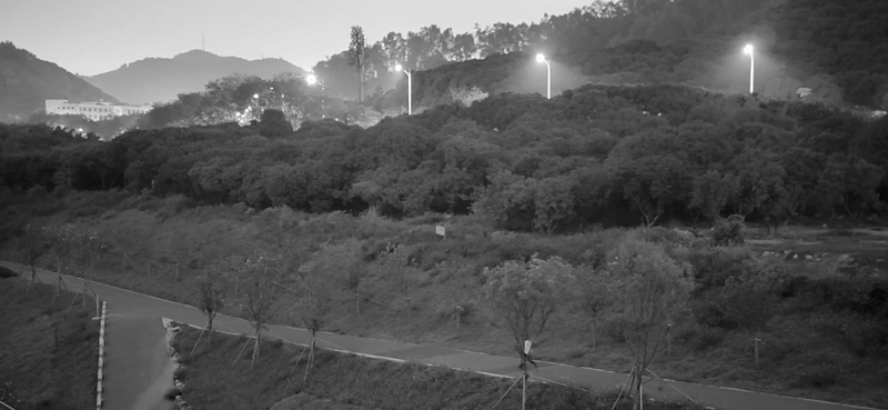 Autel EVO MAX 4N VS Autel Dragonfish Lite with DG-T3 Payload: Drone Night Vision
