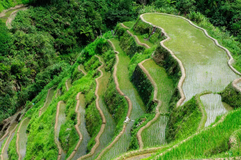 EVO II Pro V3 6K Drone Footage: Rice Terraces