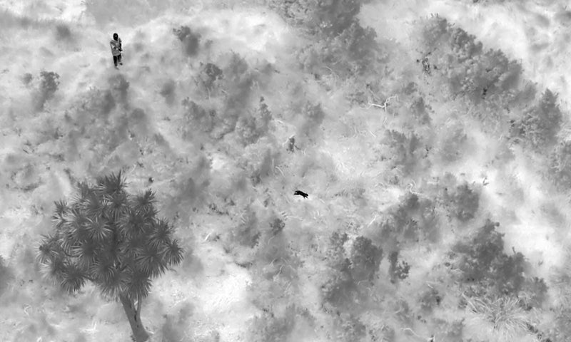 Rabbit Colony Control: Thermal Drone Wildlife Surveys and Services