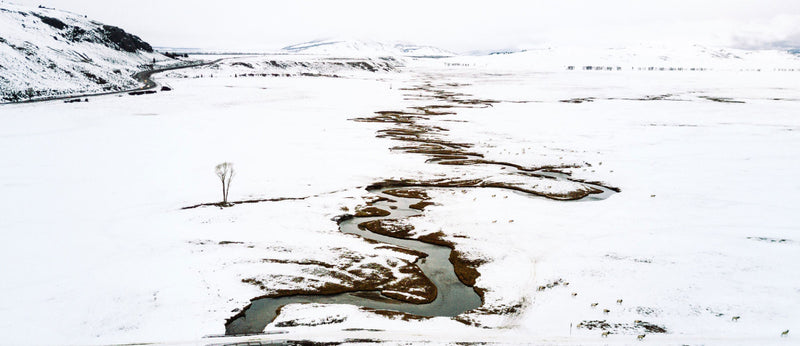 Winter Hunting – Drones for Effective Deer Recovery Efforts